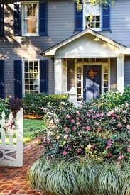 Pin On Southern Living Camellias