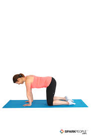 This yoga mainstay is done for no other reason than to stretch out the back, core, neck, and hips, and. Cat Stretch Exercise Demonstration Sparkpeople