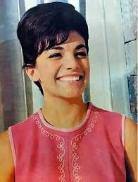 MissEcuadorUniverso Patricia Susan Ballesteros Davis de la ciudad de Quito  ganó en Junio de 1965 el certámen Reina del Ecuador realizado en el Centro  Ecuatoriano Norteamericano en Quito por lo que fue
