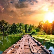 10 New Best Wallpapers Hd Nature Full Hd 1080p For Nature Best Wallpapers Hd 800x800 Download Hd Wallpaper Wallpapertip Nature full hd wallpapers 1920x1080.