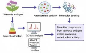 Image result for Vernonia ambigua