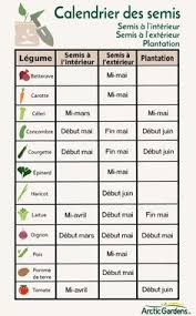 Les Erreurs De Jardinage Arctic Gardens Home Vegetable Garden Potager Garden Veggie Garden