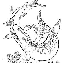 The lines in the drawing are made with special watercolor pigments, which interacting with water, spread out and color is watch the coloring video for kids and you will see and learn how to draw and color the dinosaur. Mosasaur Coloring Pages Coloring Pages For Kids And Adults