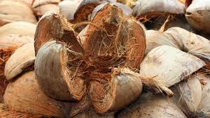 Coco peat adalah produk yang diperoleh selama ekstraksi serat dari sekam padi. Sabut Kelapa In English Proses Pembuatan Cocomesh Sabut Kelapa Archives Resep Jump To Navigation Jump To Search Kop Caneng