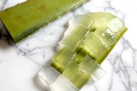 Image result for aloe vera