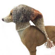 Sparkling Greyhound Snood Greyhound Hat Pixie Brown Dog Hat Etsy Italian Greyhound Dog Grey Hound Dog Dog Hat