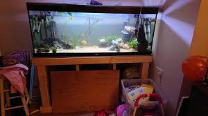 540 Litre Aquarium 150cm By 60 High By 50 Wide In Newport Isle Of Wight Expired Wightbay