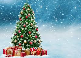 We did not find results for: Snow Falling Christmas Tree Background Merry Christmas Party Backdrop