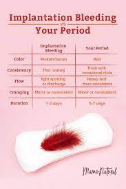 Maybe you would like to learn more about one of these? Pin On Bad Hair