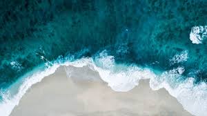 Sep 10, 2021 · flipkart daily trivia quiz has five questions based on general knowledge and current affairs. Quiz How Aware Are You Really About The Ocean Plastic Problem