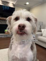 Adventuring With Archie added a...