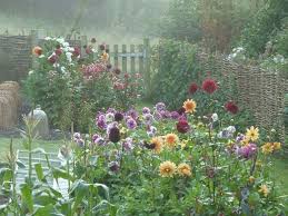 Related Image Wildflower Garden Beautiful Gardens Cottage Garden