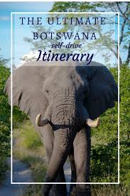 The Ultimate Botswana Self Drive Itinerary 3 4 Weeks Botswana Self Drive Safari Game Drive Mokoro Trip Lodge Cam Botswana Travel Self Driving Botswana