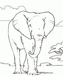 Here comes some elephant coloring pages with circus elephants an elephant getting a flower from his friend the mouse, and a coloring page with an elephant prince and an elephant princess: Realistic African Elephant Coloring Page Online Printable Elephant Pictures Elephant Coloring Page Elephant Outline