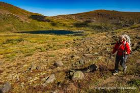 Image result for tbn:Qm8QJA0FQGkeJM::www.trekkingchile.com/Images/mis_fotos/1201890604.jpg