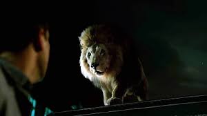 Résultat de recherche d'images pour "zoo serie"