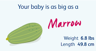 39 weeks 0 days to 40 weeks 6 days. 38 Weeks Pregnant Your Pregnancy Week By Week Bounty