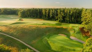 Image result for Lawsonia