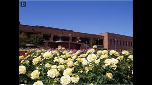 Hours may change under current circumstances Tyler Rose Garden Named One Of The Great Public Places In Texas Cbs19 Tv