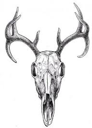 Tattoo Ideas Sister Dads 19 Ideas Animal Skull Tattoos Animal Skull Drawing Deer Skull Drawing