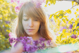 1,077 Blossoming Lilac Violet Sun Stock Photos