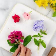 We did not find results for: How To Press Flowers A Complete Guide For Beginners