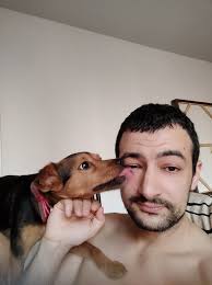 Flight Buddy needed please 🙏 Lucky Milo has found his forever family! Milo  was found as a terrified pup in an abandoned shed. He had never met people  before. Now, 3 months