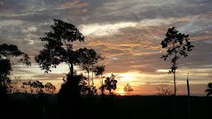 Objektif utama penubuhan koperasi serbaguna dara berhad (ksd) ialah untuk meningkatkan taraf sosial ekonomi dan kebajikan para anggota. Batang Tinjar Ii Plantation Koperasi Serbaguna Malaysia Berhad Ksm