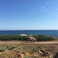 concorsi di Architettura - professione Architetto - Sardegna