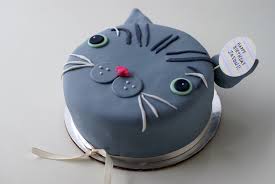 Cake land purple cakes pistachio cake. Collections Of How To Make A Birthday Cake For A Cat