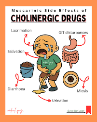 Image result for Cholinergic Toxicity