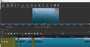 Image result for Computers Software Editors