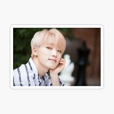 sbs radio 에라오 신나고 밝고 이젠 믿고 듣는 세븐틴(seventeen)⚾ 디노, . Seventeen Lee Chan Gifts Merchandise Redbubble
