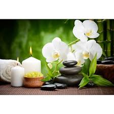 Decor Zen Ambiance Spa Papier Peint Personnalise Tapisserie Numerique Sur Mesure Les Orchidees Et Les Bambous Atelier Wybo Tableau Zen Papier Peint Personnalise Decoration Zen