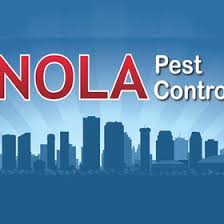 We did not find results for: Nola Pest Control Nolapestcontrol Profile Pinterest