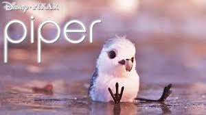 Image result for Piper
