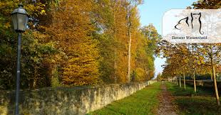 Dieses jahr beginnt auf der gesamten nordhalbkugel der herbst am 22. Und Der Herbst Beginnt Tierarzt Wiesentheid