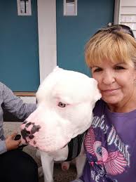 Any advice for a 95.5-pound dog?