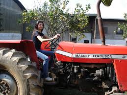 File:Trator Massey Ferguson.jpg