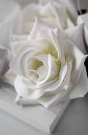 Lifeisverybeautiful White Roses Beautiful Flowers White Flowers