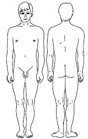 Vw 8846 Full Body Diagram Medical Chart Wiring Diagram Browse our body outline diagram images, graphics, and designs from +79.322 free vectors graphics. body diagram medical chart wiring diagram