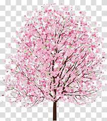 Cherry Blossom Tree Cherry Blossom Transparent Background Png Clipart Cherry Blossom Watercolor Cherry Blossoms Illustration Cherry Blossom Drawing