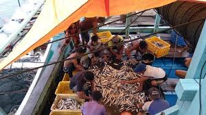 Pancing (hook and lines), misalnya rawai tuna, pole and line, dan sebagainya. Mayoritas Alat Tangkap Nelayan Aceh Singkil Masih Tradisional Potensi Ikan Belum Tergarap Maksimal Serambi Indonesia