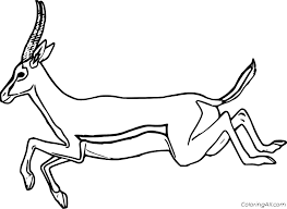 All gazelle coloring page click pages view printable version color online compatible with ipad android tablets this section includes enjoyable colouring free homework worksheets every these suitable. Jumping Gazelle Coloring Page Coloringall
