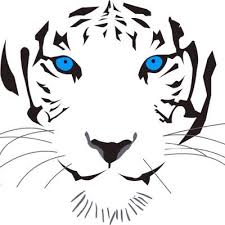 Cara memanggil khodam macan putih tanpa puasa. Macan Rabiez On Twitter Harimau Putih Dari Barat Http T Co 91b199olsi