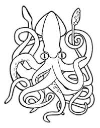 Coloring Pages Of Giant Squid Animal Coloring Pages Whale Coloring Pages Coloring Pages