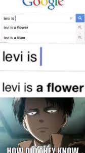 Levi in Flowers