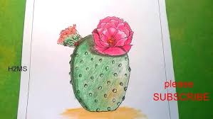Follow along to learn how to draw this family of cute, cartoon cactus step by step, easy. How To Make Simple Blooming Cactus Drawing Pink Cactus Flower Drawing How To Draw Cactus 01 Youtube