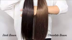 Bellami Extensions Dark Brown Vs Chocolate Brown Bellami Hair Extensions Hair And Beard Styles Long Hair Styles