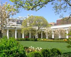 White House Rose Garden White House Garden Inside The White House White House